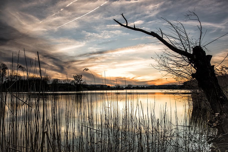 Scenic View of Lake Against Sky during Sunset, dawn, sunrise HD wallpaper