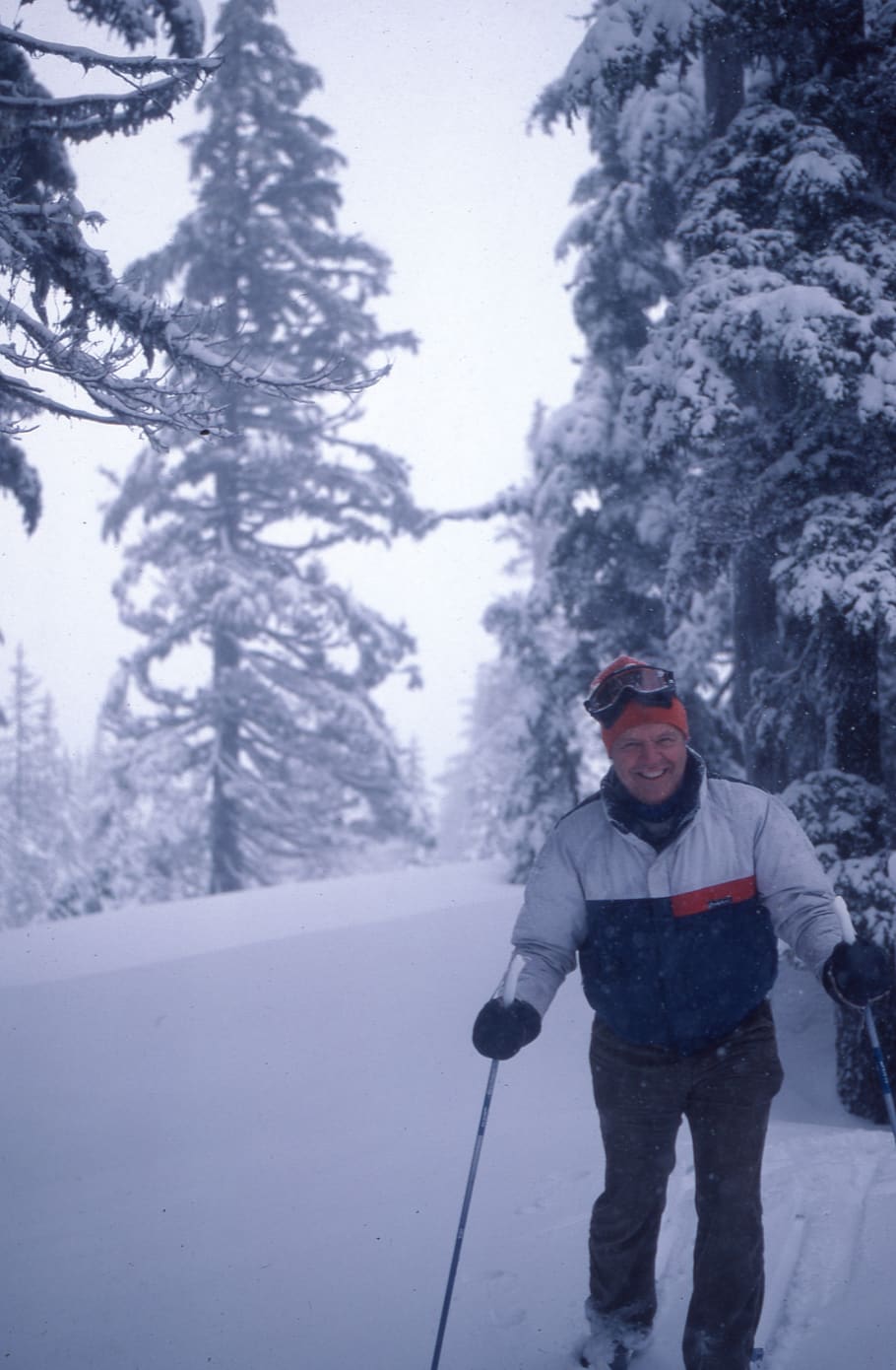skiing, person, tree, snow, winter, cold temperature, one person HD wallpaper