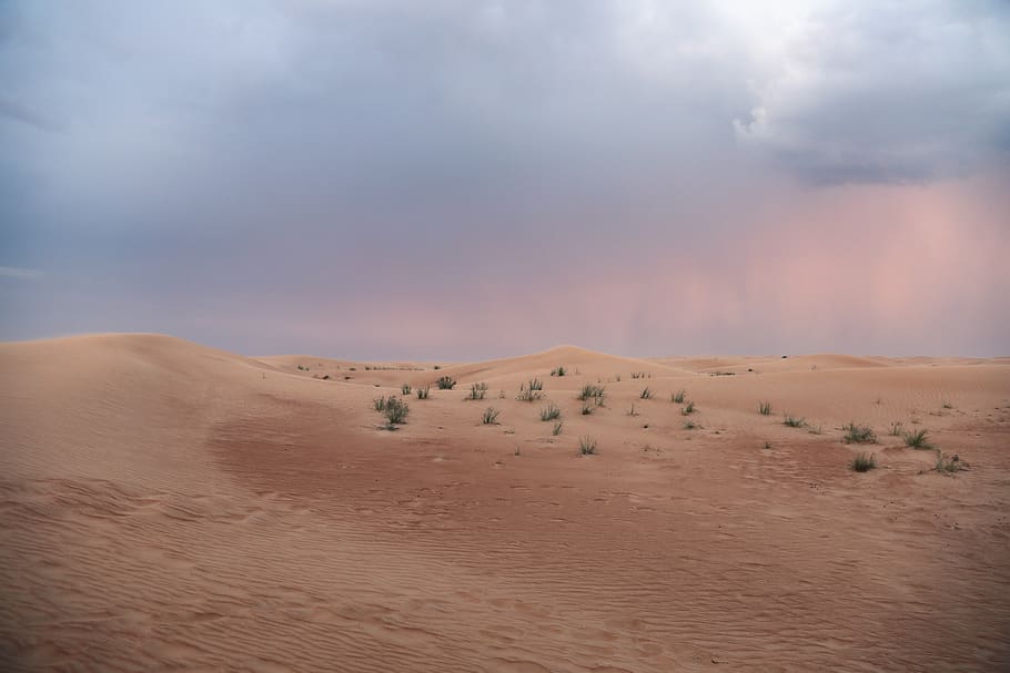 desert, sand, sky, evening, ansonfotos, dubai, darksky, scenics - nature HD wallpaper