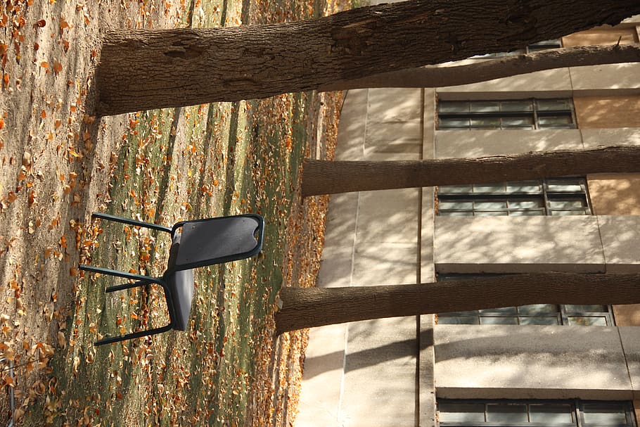 blck chair, architecture, built structure, day, nature, sunlight HD wallpaper
