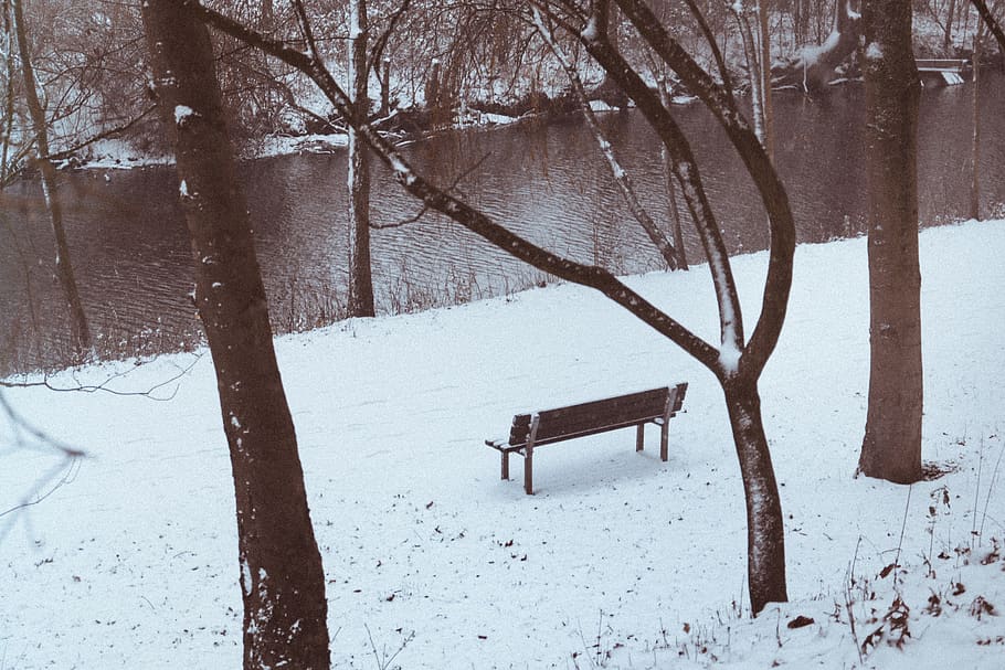 black and white metal frame, water, lake, tree, xma, peace, peaceful HD wallpaper