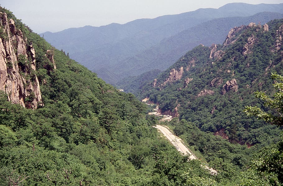 south korea, gangwon-do, mountain, scenics - nature, plant, HD wallpaper