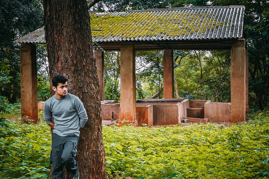 trees, forest, one person, plant, nature, lifestyles, standing HD wallpaper
