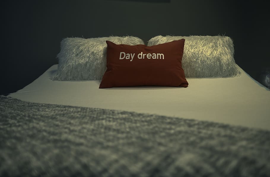 Red Pillow, indoors, text, no people, furniture, selective focus HD wallpaper