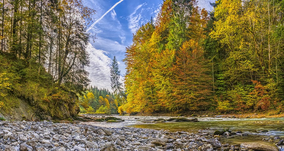 ammer, autumn, river, beautiful, hiking, alpine, bavaria, trees, HD wallpaper