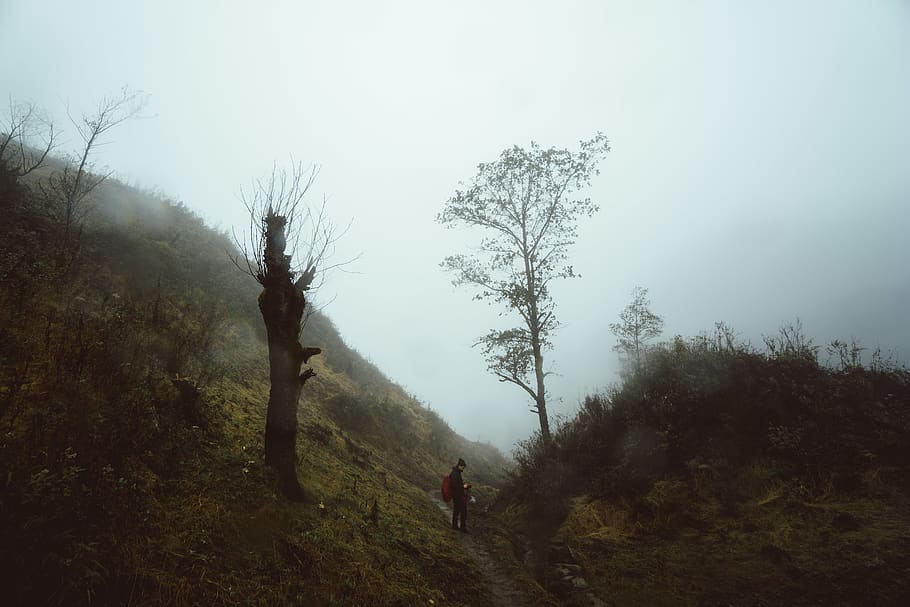 people walking on trail, nature, weather, outdoors, person, human HD wallpaper