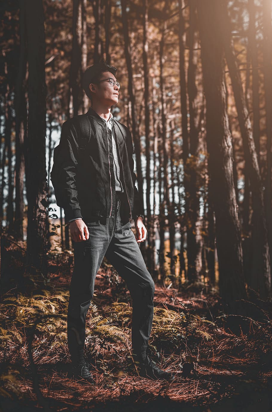 man standing between trees, human, person, people, jacket, coat