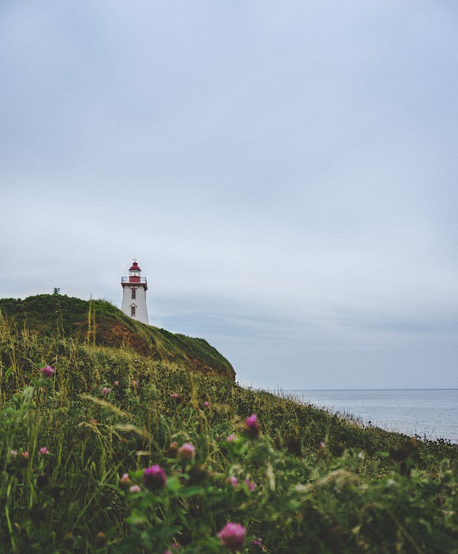 Lighthouse By The Cliff, architecture, canada, coast, water, plant HD wallpaper