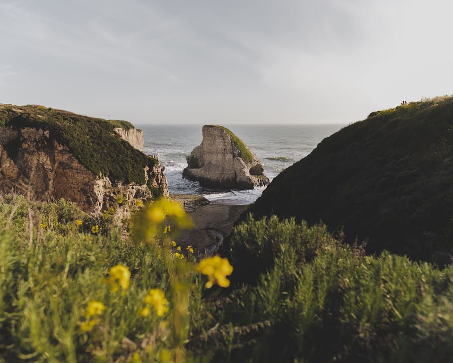 rock, water, cliff, flower, grass, nature, outdoors, sunlight HD wallpaper