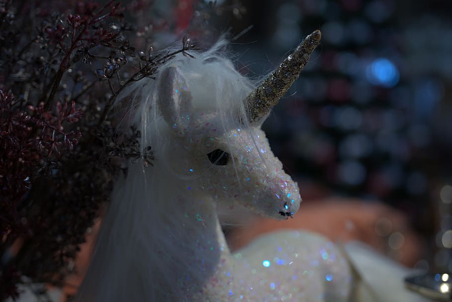 unicorn, horn, fable, horse, magic, lucky charm, cute, fairy tales, HD wallpaper