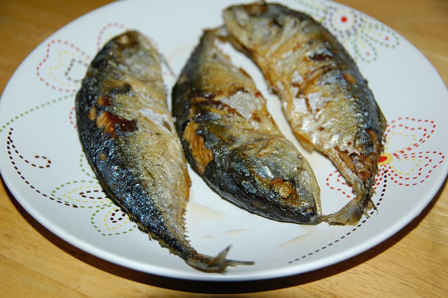 fish, food, food and drink, plate, ready-to-eat, freshness HD wallpaper