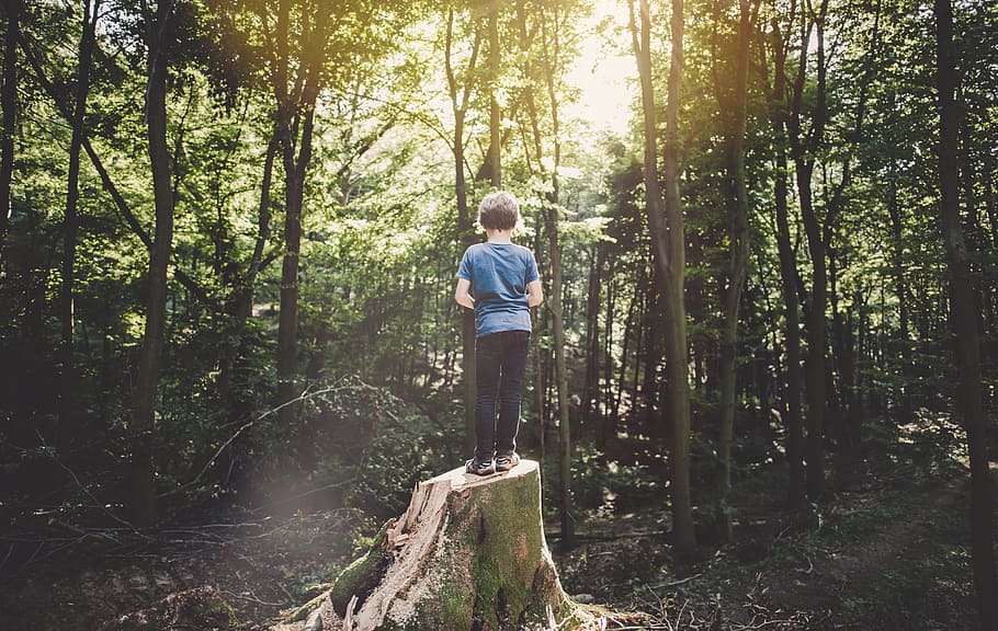 Questions, kid, tree stump, child, boy, standing, fashion, style HD wallpaper