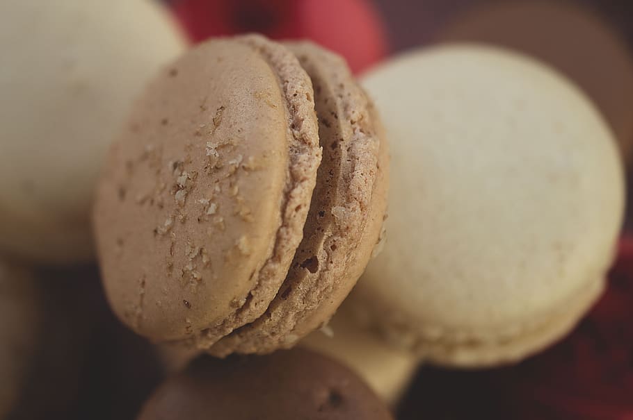 food, confectionery, sweets, bread, bun, dessert, egg, cream HD wallpaper