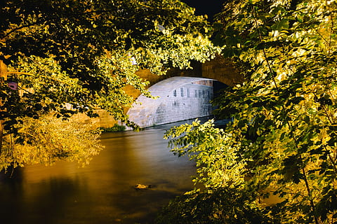 Night channel, bridge and foliage, architecture, background, bamberg HD wallpaper