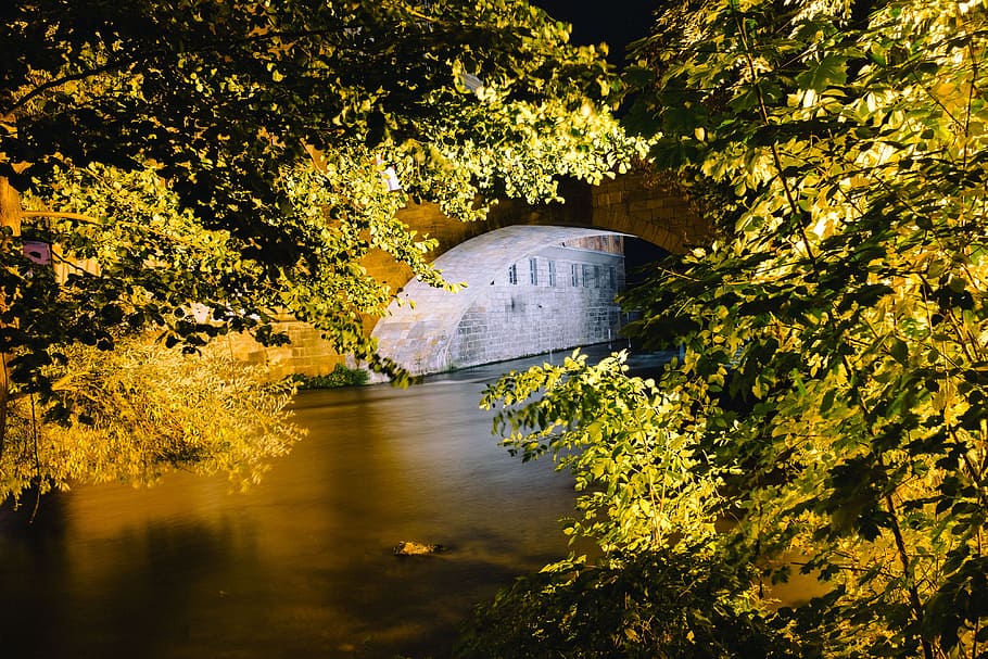 Night channel, bridge and foliage, architecture, background, bamberg, HD wallpaper
