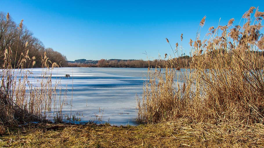 frozen lake, winter, cold, ice, frost, wintry, scenic, sky HD wallpaper