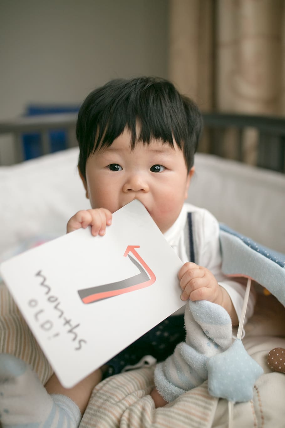 boy holding Months old card, child, childhood, one person, boys HD wallpaper