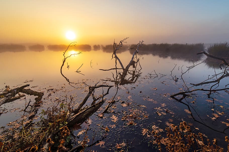 germany, schwerte, water, reflection, sky, sunset, beauty in nature HD wallpaper