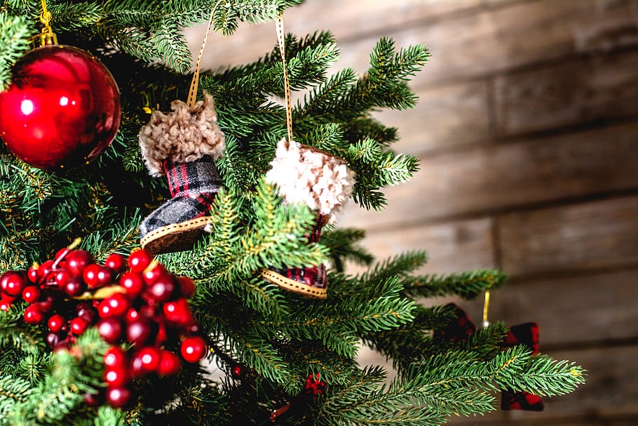 red bauble on Christmas tree, plant, ornament, conifer, pine HD wallpaper