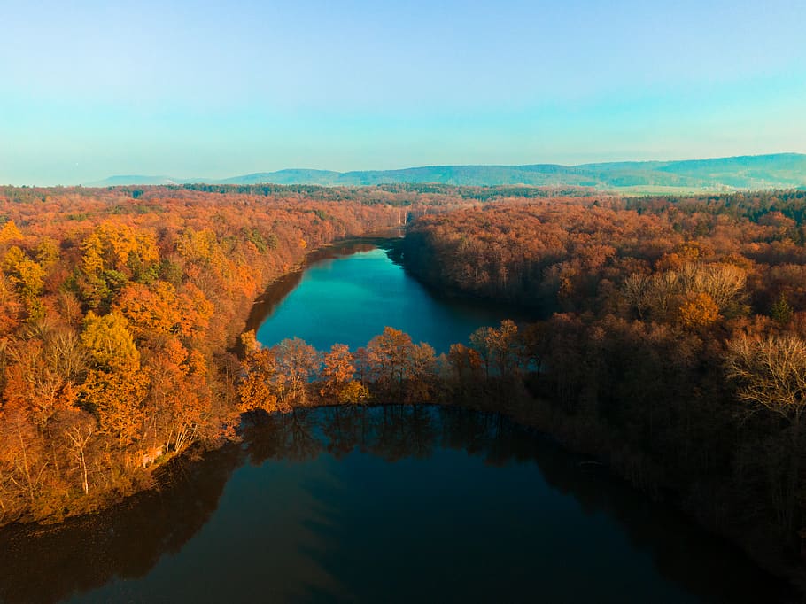 trees, lake, forest, drone, autumn, autumnal, walk, travel HD wallpaper