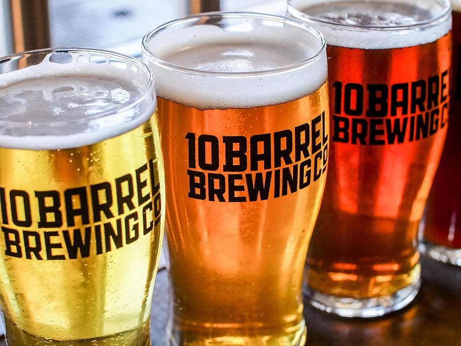 Three 10 Barrel Brewing Glasses Full of Beer, alcohol, alcoholic beverage HD wallpaper