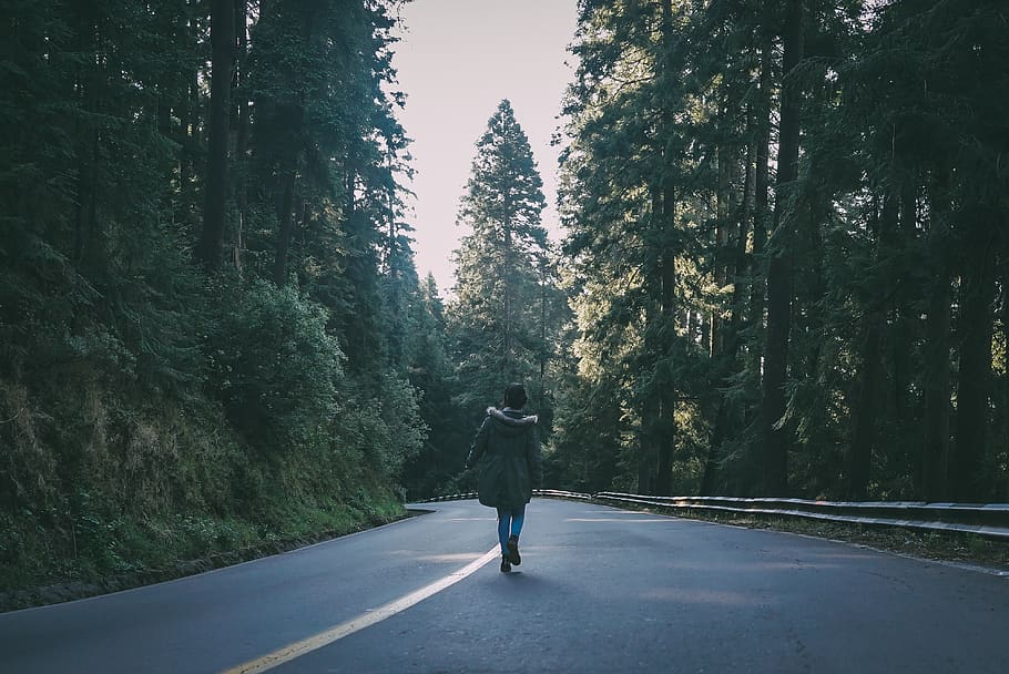 Woman Wearing Black Parka Jacket Walking on Black Concrete Road Surrounded by Trees HD wallpaper