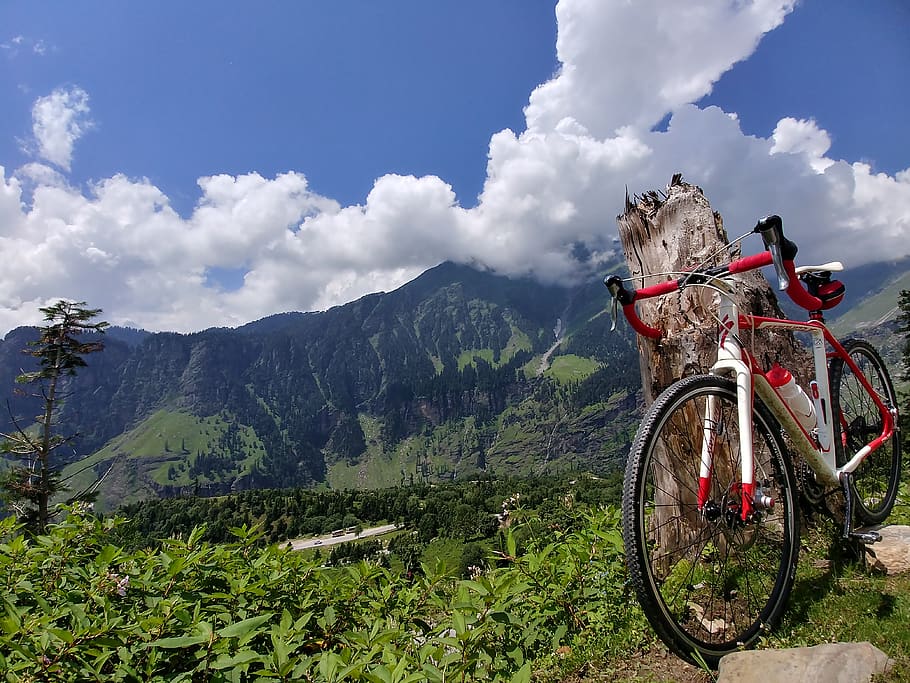 india, manali, himalayas, red, cycle, forest, plants, white, HD wallpaper