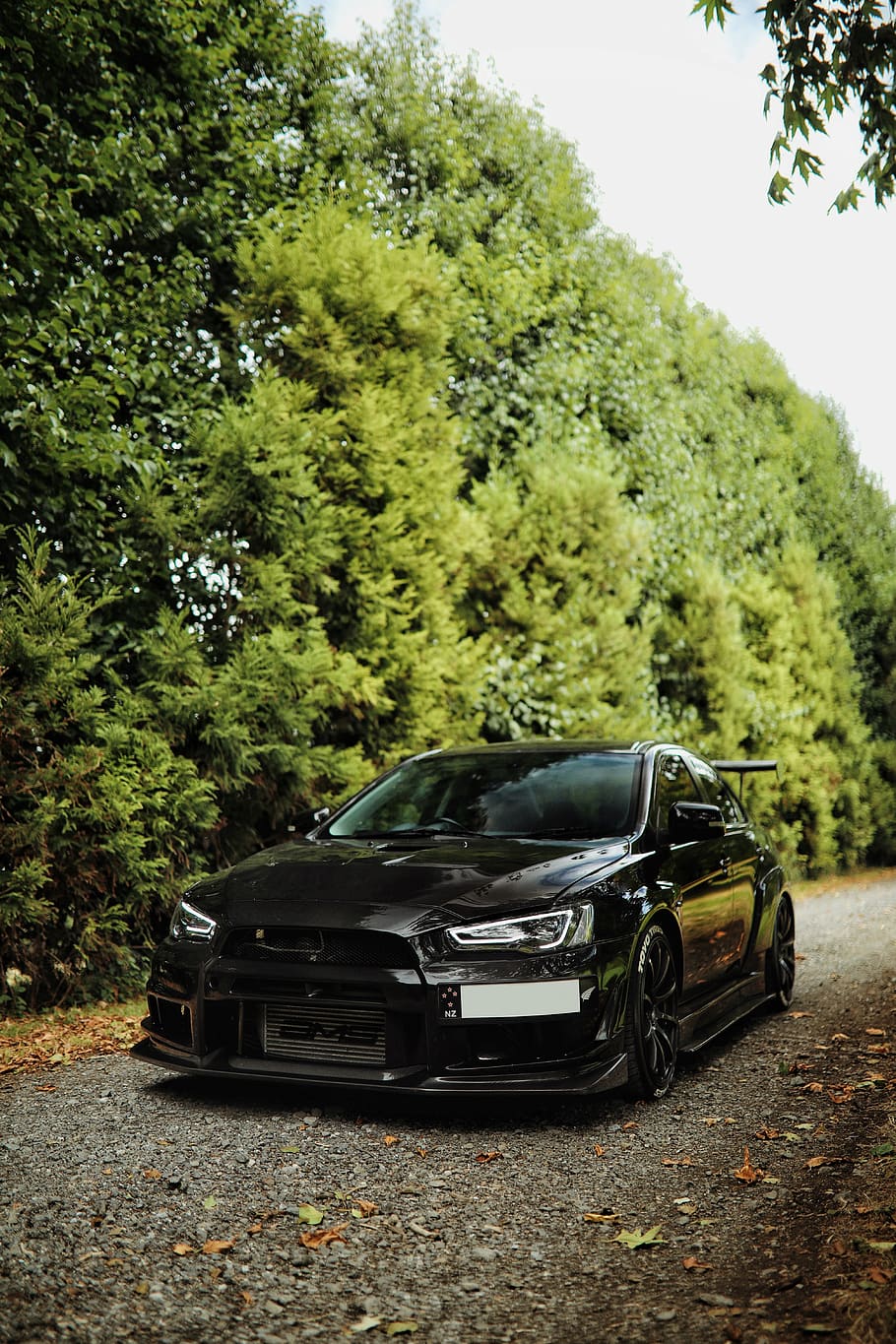 parked black coupe, tree, transportation, motor vehicle, car HD wallpaper