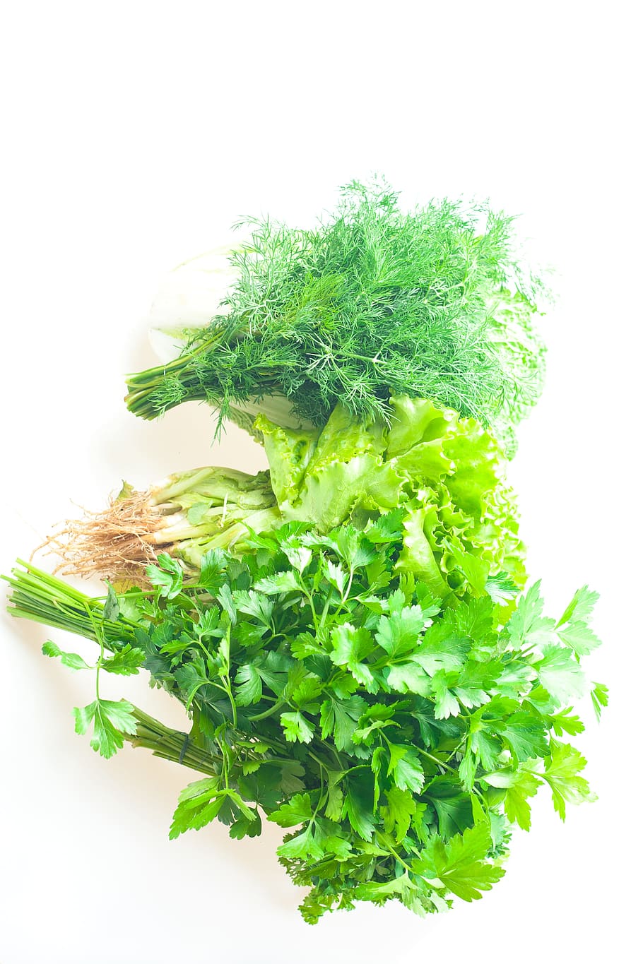 parsley, isolated, white, fresh, background, nature, bunch HD wallpaper