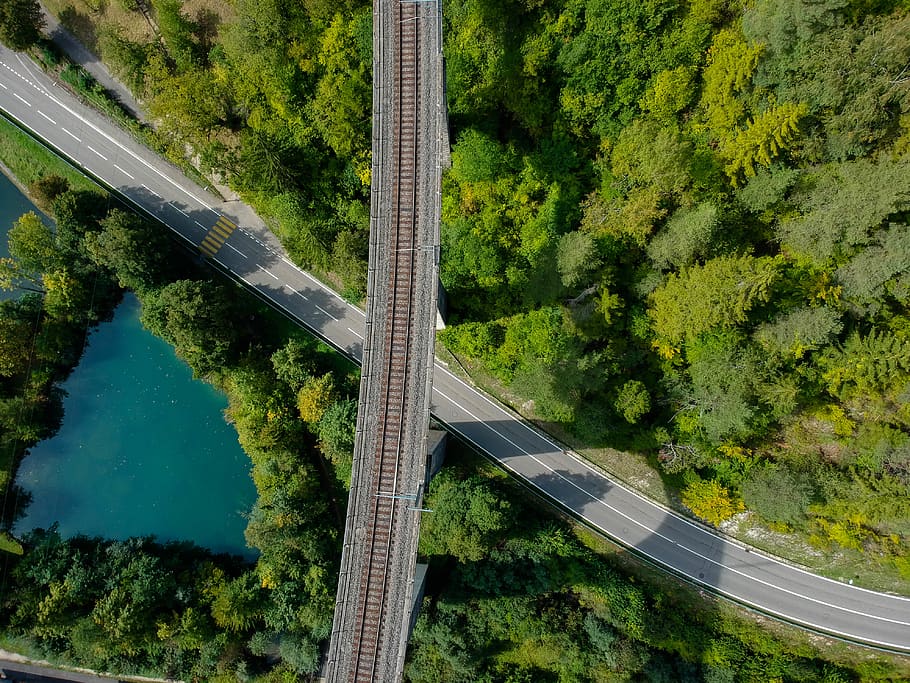 bird's-eye view photography of train bridge and road between trees