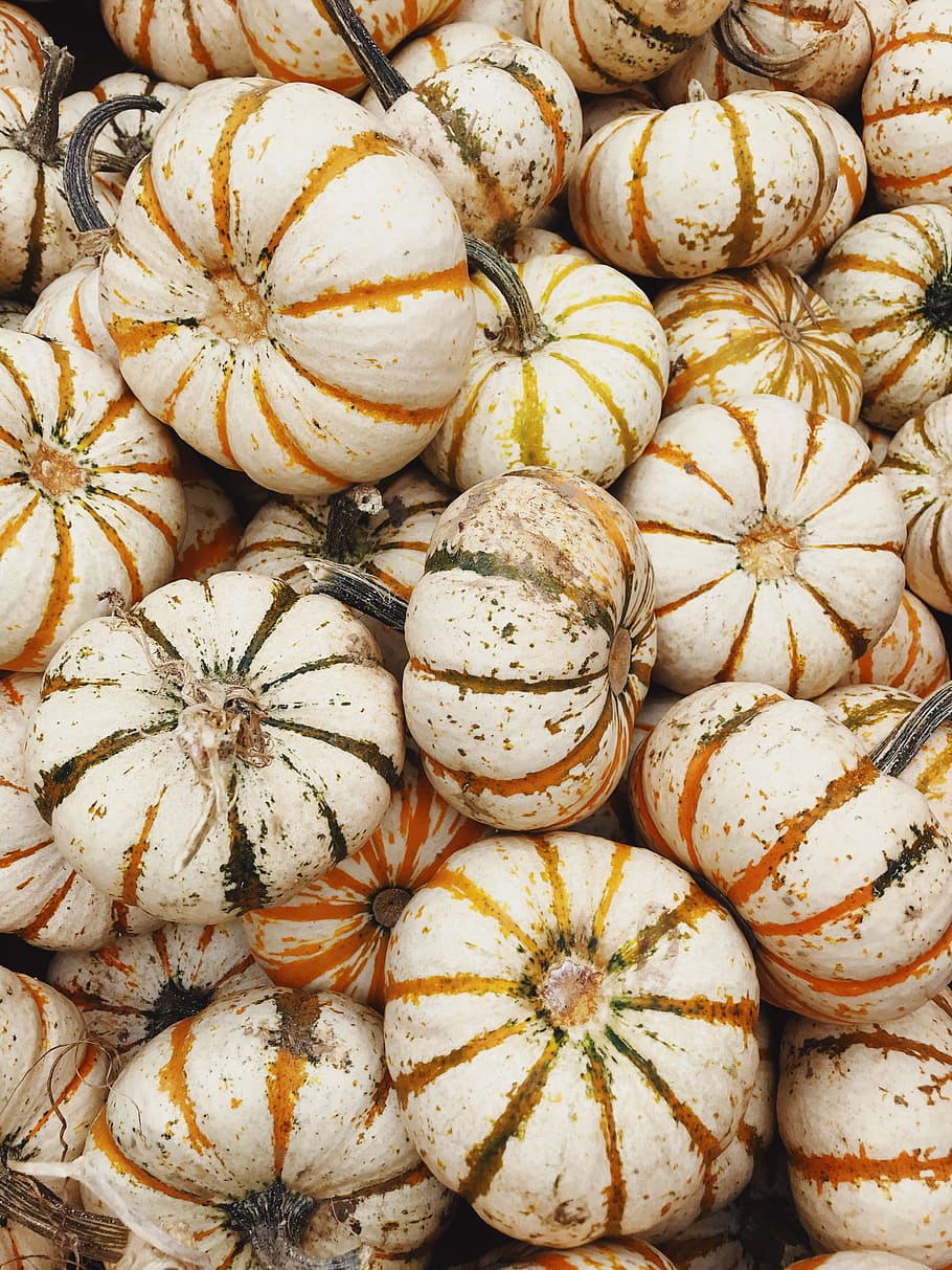 beige pumpkins, gourde, autumn, fall, harvest, pile, halloween, HD wallpaper