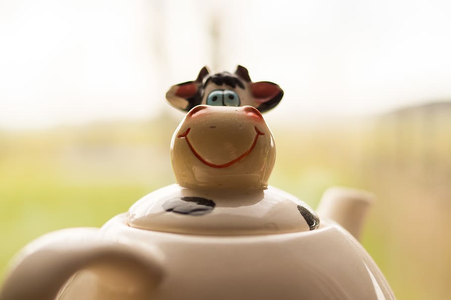 White and Black Ceramic Cattle Teapot Photo, cow, funny, porcelain HD wallpaper