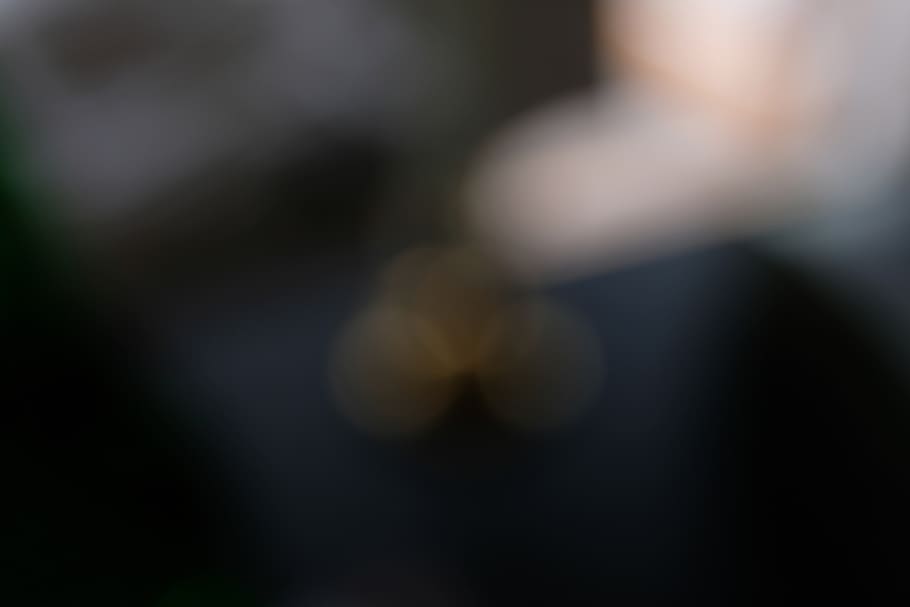denmark, holbæk, orø, defocused, flower, flowering plant HD wallpaper