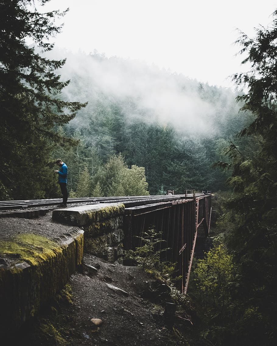 man standing on bridge, tree, plant, one person, fog, nature HD wallpaper