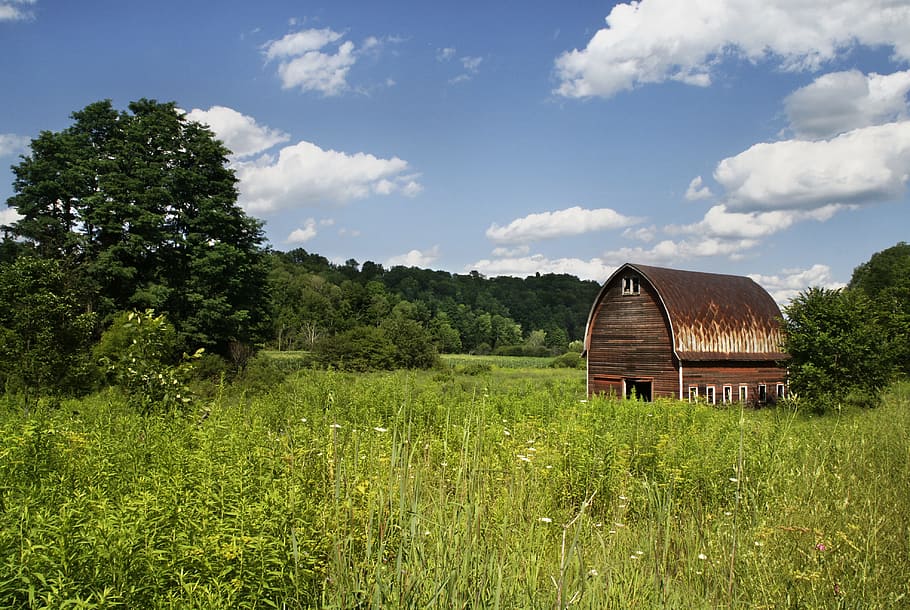 barn, farm, country, fields, grass, trees, nature, sky, clouds HD wallpaper