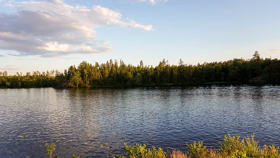 sweden, trees, forest, lake, sunset, water, plant, sky, scenics - nature HD wallpaper
