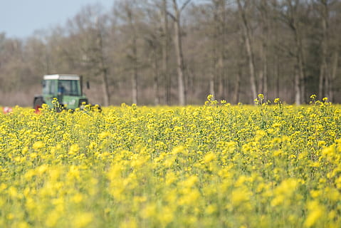 field, tractors, spring, agriculture, arable, agricultural machine HD wallpaper