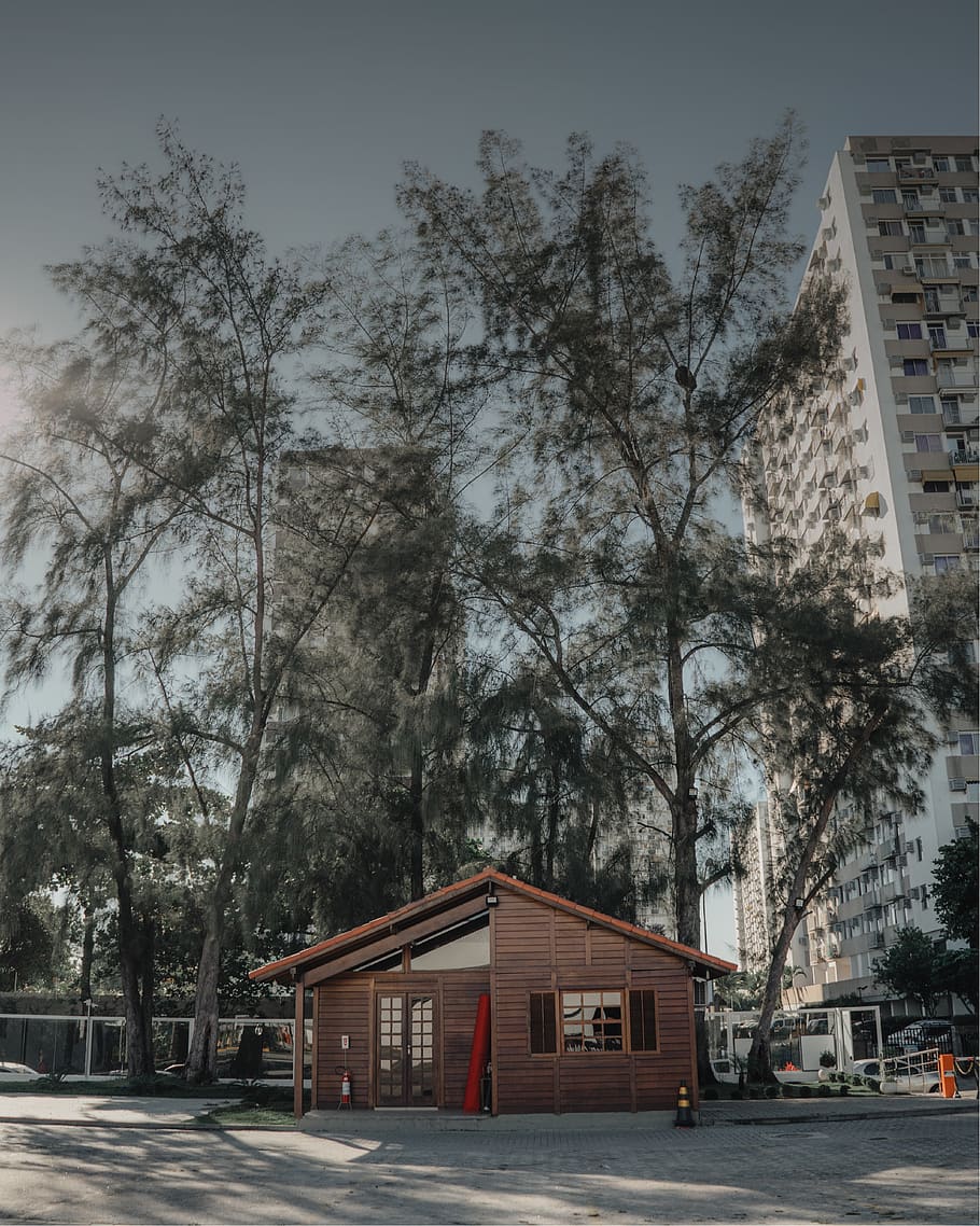trees, forest, sky, home, color, riodejaneiro, sony, alpha HD wallpaper