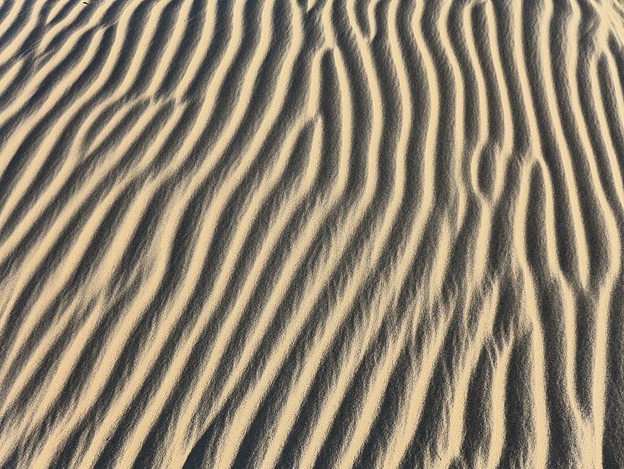 Sand Dunes, arid, background, barren, desert, dry, empty, hot HD wallpaper
