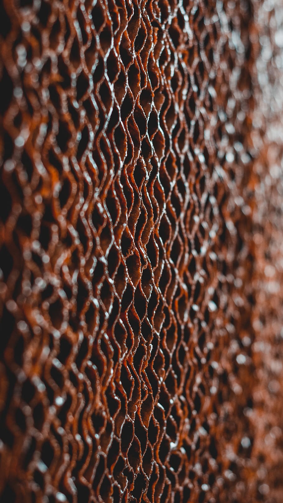 backgrounds, textured, no people, close-up, selective focus HD wallpaper