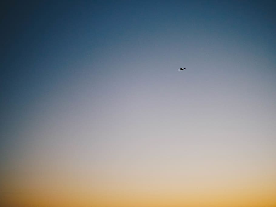 sky, sunrise, sunset, gradient, open, blank, airplane, fly HD wallpaper