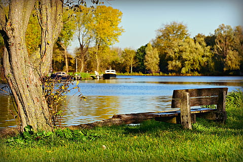 water, river bank, tree, bench, resting place, peaceful, serene HD wallpaper