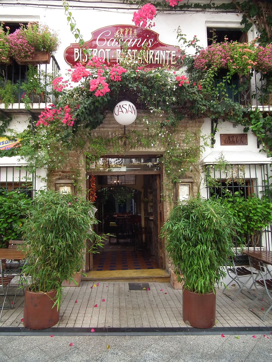 marbella, spain, andalucia, plant, architecture, built structure, HD wallpaper