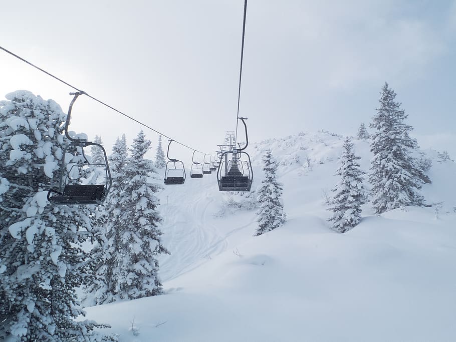 lift, snow, white, light, wintersport, trees, mountain, cold temperature HD wallpaper