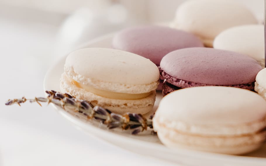 French macaroons on plate, food, food and drink, indulgence, freshness HD wallpaper