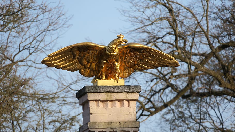 adler, statue, monument, sculpture, bird, bronze, metal, gold HD wallpaper