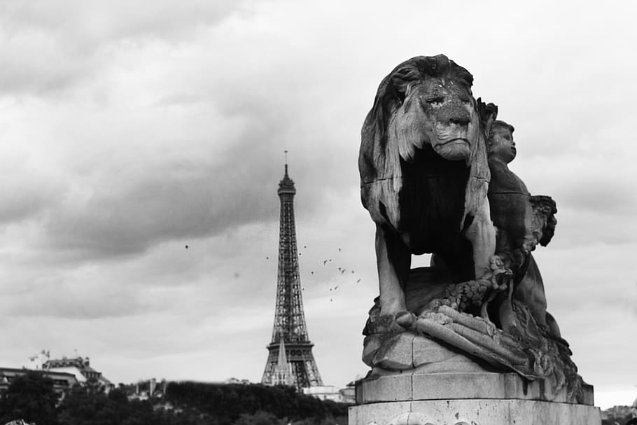 HD wallpaper: france, paris, lion, the eiffel tower, black and white ...