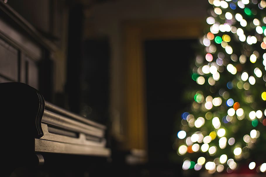 dark, room, christmas, tree, lights, bokeh, illuminated, decoration HD wallpaper