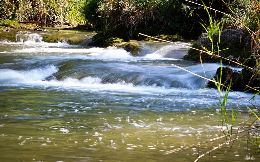 water, krems, river, drip, plant, nature, green, swim, motion HD wallpaper