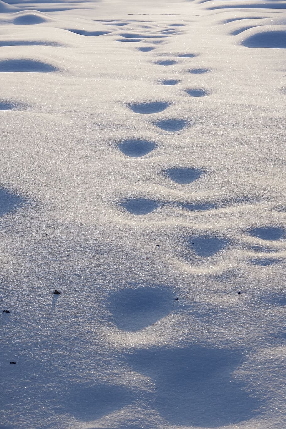 snow, trace, sun, cold, winter, nature, landscape, white, footprints HD wallpaper